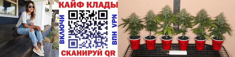 Какие есть наркотики Калач Метадон КОКАИН ГАШИШ Марихуана A-PVP