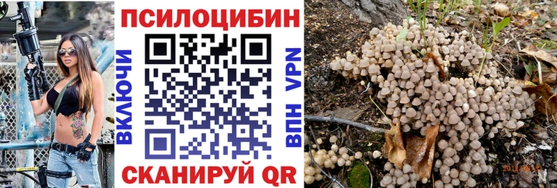 закладки  Калач  Галлюциногенные грибы Psilocybe 